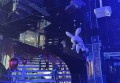 南宁前台工作招聘条件（南宁前台岗位招聘需求）
